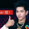 吴亦凡维新百科，全面解析与游戏攻略,吴亦凡维度百科