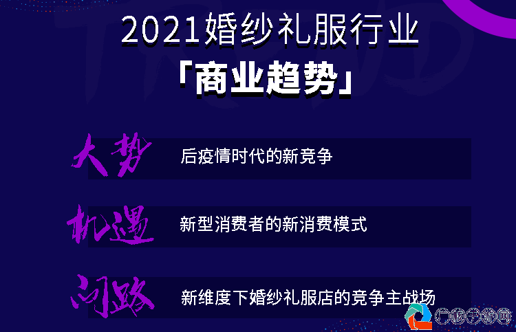 结婚游戏，探索虚拟婚姻的新词汇与趋势