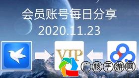 迅雷白金会员最新特权解析与体验分享