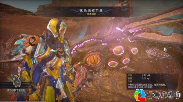 星际战甲Warframe手游官网最新资讯与攻略大全