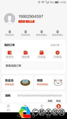 猫咪游戏app最新更新解析与体验分享